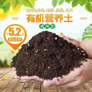 养花 通用营养土 多肉绿植种植 有机泥炭土家庭园艺黑土 铺面石