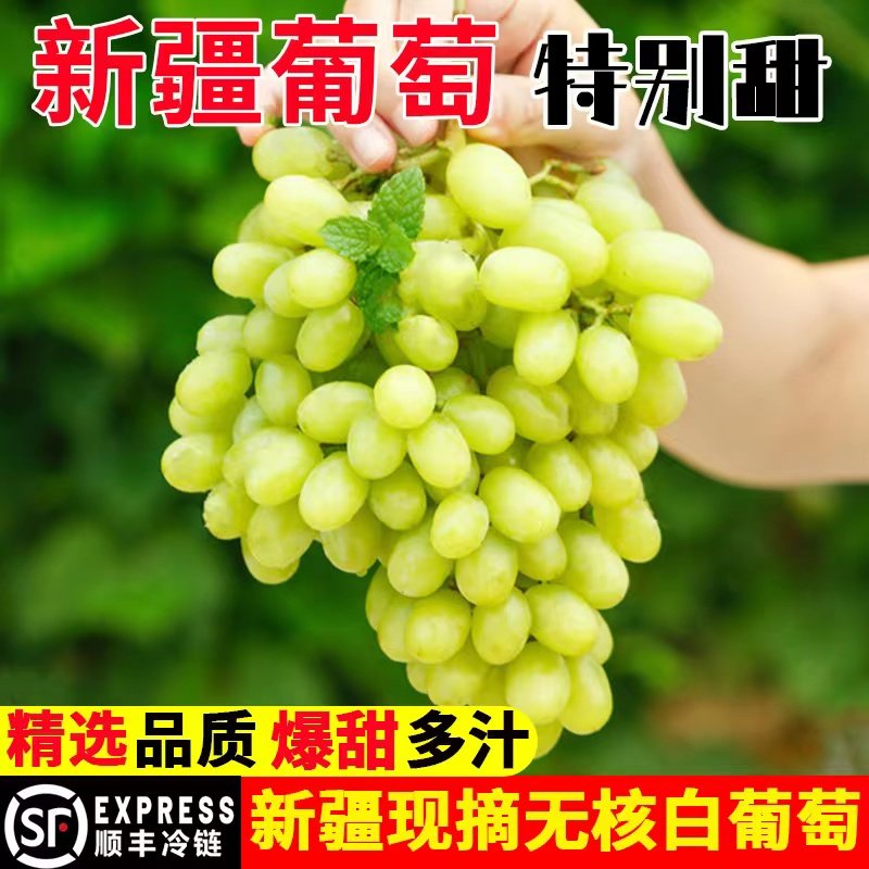 新疆葡萄无核白当季吐鲁番无籽