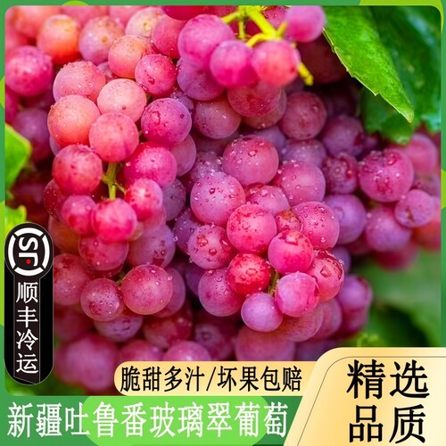 正宗新疆吐鲁番玻璃翠葡萄无核