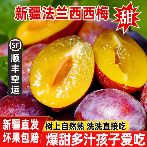 正宗新疆应季新鲜水果法兰西西梅