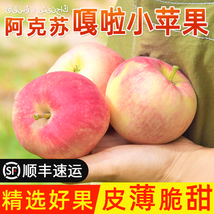 新疆正宗阿克苏嘎啦小苹果脆甜应当季新鲜整箱孕妇水果顺丰包邮