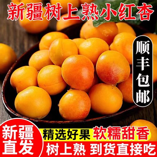 新疆自然熟小红杏新鲜杏子现摘现