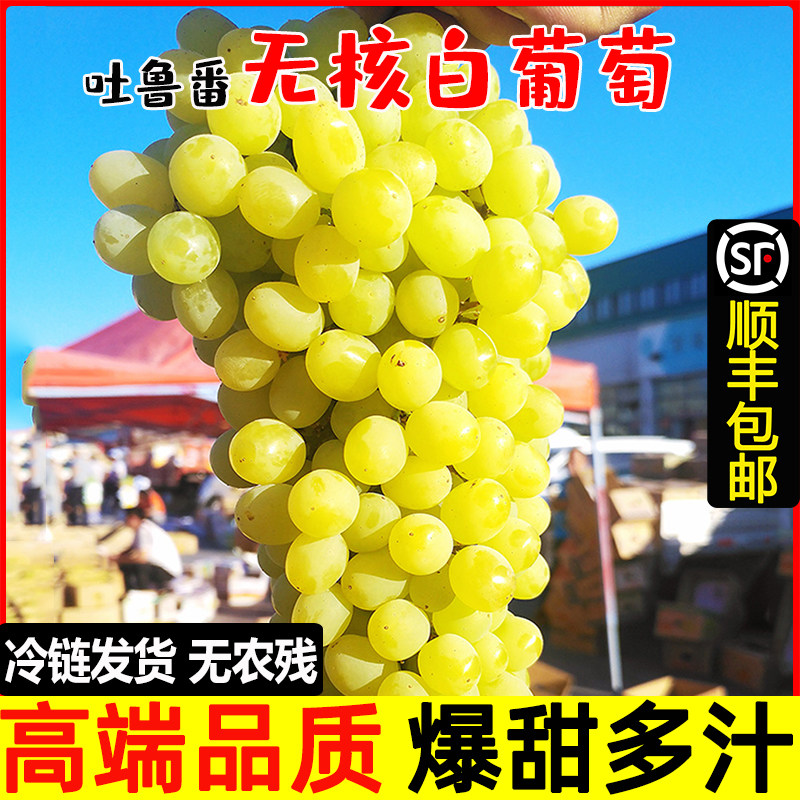 新疆葡萄新鲜吐鲁番无核白当季