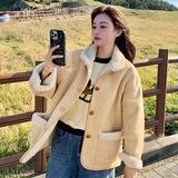 【现货】麂皮绒羊羔毛皮毛一体228-P160-K238，女装皮草，浙宝113