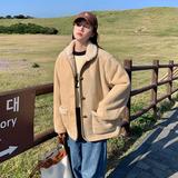 【现货】麂皮绒羊羔毛皮毛一体228-P160-K238，女装皮草，浙宝113