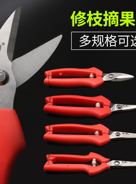 利关果蔬枝剪修花枝剪葡萄采果剪柑橘子火龙果采摘园艺专用剪刀
