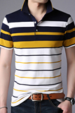 夏季纯棉短袖男士翻领T恤商务休闲条纹POLO衫男半袖AJY2136-P60，男装T恤，电商B212（原钱塘6029）