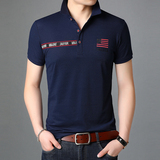 夏季男士轻商务短袖T恤男上衣青年时尚休闲棉质POLO衫D6621-P65，男装T恤，电商B212（原钱塘6029）