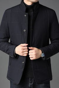 冬季加厚男棉衣中老年人男装立领棉服中年爸爸外套冬装C2081-P175图片