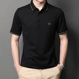 桑蚕丝短袖T恤男绣标翻领夏季中年男士宽松爸爸夏装YT1AK03-P125，男装T恤，电商B212（原钱塘6029）