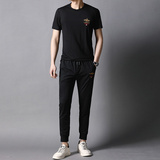 轻薄透气纯棉质感夏季休闲短袖套装男圆领T恤两件套AJY12-P85，男装休闲套装，电商B212（原钱塘6029）