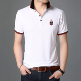 精品时尚短袖T恤男翻领POLO衫夏季青年男士休闲棉体恤衫D6802-37，男装T恤，电商B212（原钱塘6029）