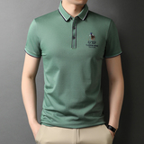 男装短袖t恤男2021夏季新款翻领透气男士休闲polo衫QLM88162-P75，男装T恤，电商B212（原钱塘6029）