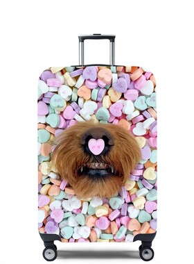 动物Z69狗狗鼻子弹力箱套拉杆箱旅行旅游登机行李皮箱保护罩防尘