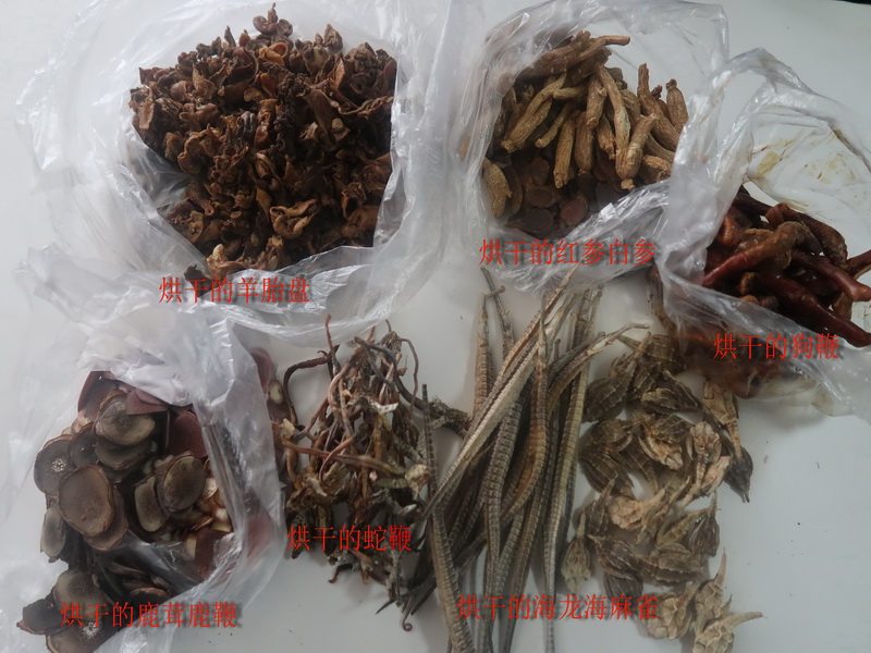 定制参茸丸200克人参鹿茸海马海龙蛇鞭羊胎盘露蜂房肉苁蓉非精油