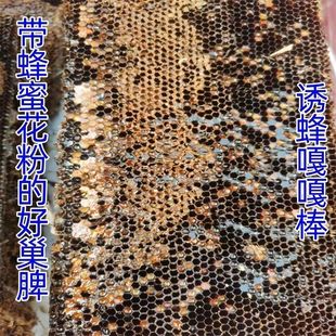 诱蜂专用老巢脾蜡引蜜蜂中蜂意蜂野外招蜂土蜂旧蜂窝鼻炎中药药引