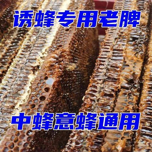 蜜蜂旧巢脾诱蜂桶中蜂意蜂土蜂诱蜂老脾诱蜂引蜂招蜂蜡渣诱蜂神器