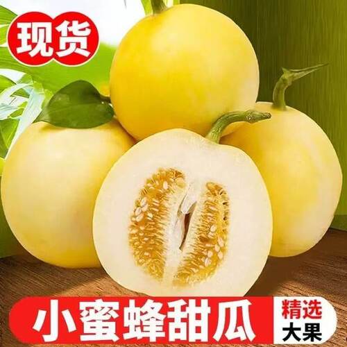山东沂蒙山小蜜蜂甜瓜星甜20
