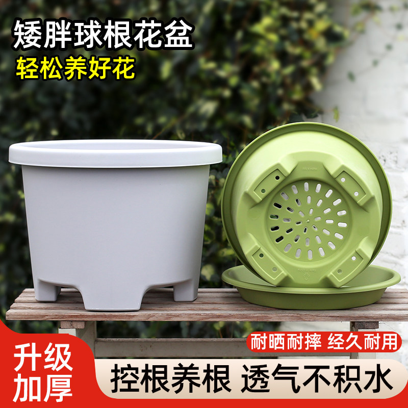 矮胖控根球根盆透气控根树脂