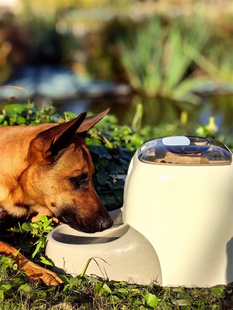 工作犬自动喂食训练器遥控气味嗅闻训练奖食装置搜爆搜血鉴别物证