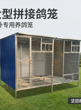 户外特大号组装种鸽赛鸽笼鸽子笼