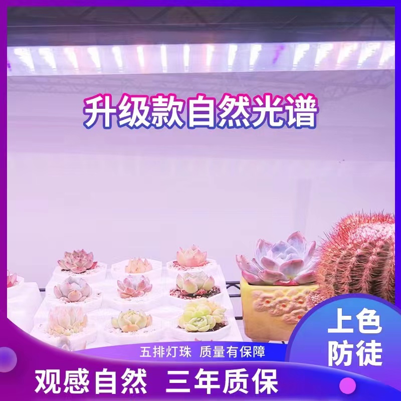 正阳家用全光谱补光灯自然白光