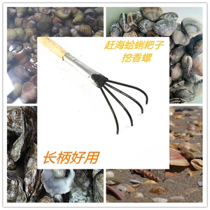 四齿耙 扒贝壳 扒海螺四爪熊手 挖海鲜耙 沙滩耙 长草小耙子工具