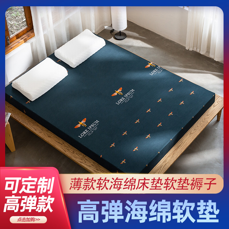 海绵床垫薄款学生宿舍垫子榻榻米软垫海绵垫家用褥子可拆洗定制
