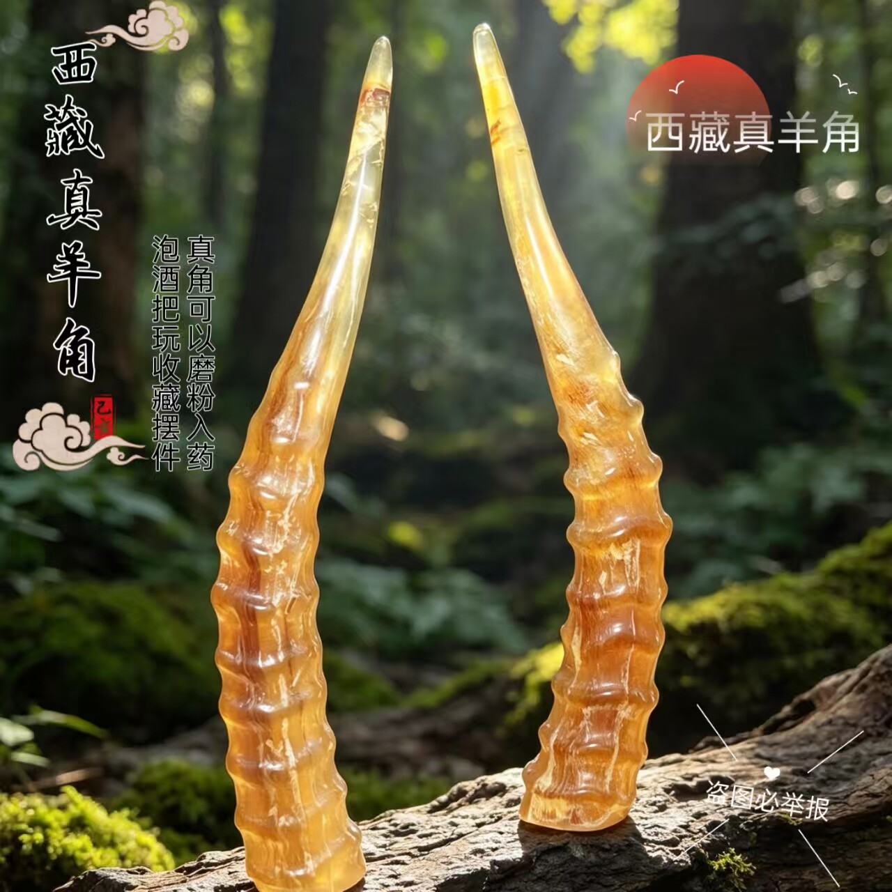 藏区羊角外蒙天然高品质羊角血丝羊角高端手把件整根羊角送礼摆件
