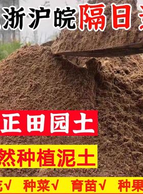 阳台种植土田园土泥土养花土种菜土沙土黄土天然家用园土沙质土壤