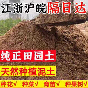 阳台种植土田园土泥土养花土种菜土沙土黄土天然家用园土沙质土壤