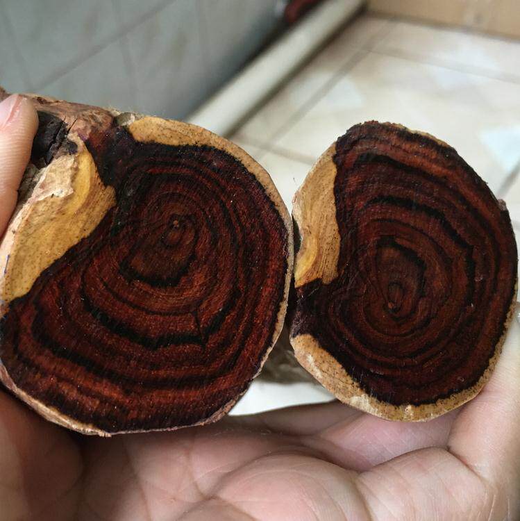 海南黄花梨木料 一颗树 纹路好 黄花梨原材料  黄花梨木 海黄木料