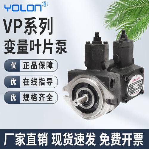 液压油泵高压双联配件机床小型vp