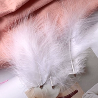 Полностью пристегните белый с 50 штук