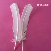 Молоко белое № 25 белый 25-30 гнездо индейки 翎 5