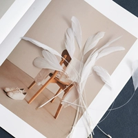 Хвост с белоснежным хвостом (15-20 см) 10 штук