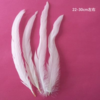 5 белый хвост 26, белый хвост 26