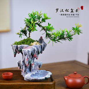 飘枝罗汉松盆栽绿植室内造型观赏办公室客厅茶室桌面好养美观送礼