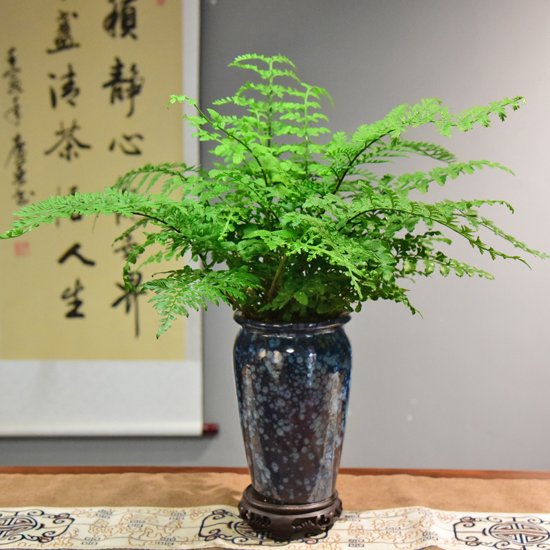 吉姆蕨客厅书房办公室接待前台