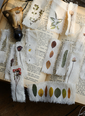 兔子家盐系轻复古布用转印纸刮刮纸手帐素材干枯植物Rub on