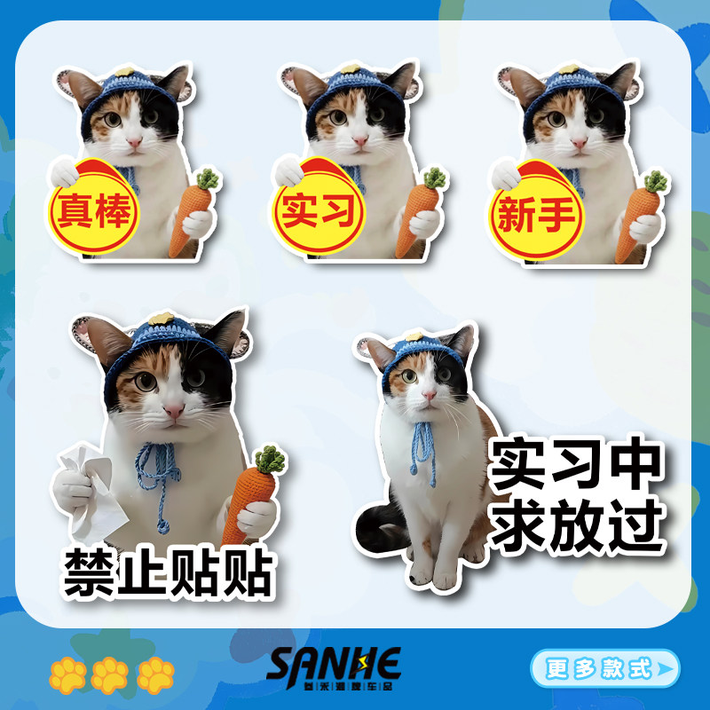 卡通真棒小猫女新手上路车贴油箱盖警示萝卜纸巾贴装饰贴实习贴纸