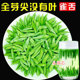 正宗特级雀舌绿茶2025明前新茶叶春茶毛尖贵州湄潭嫩芽高山云雾茶