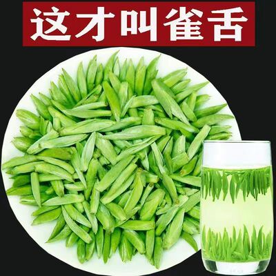 正宗雀舌绿茶2025明前新茶春茶特级贵州湄潭毛尖嫩芽高山云雾茶叶