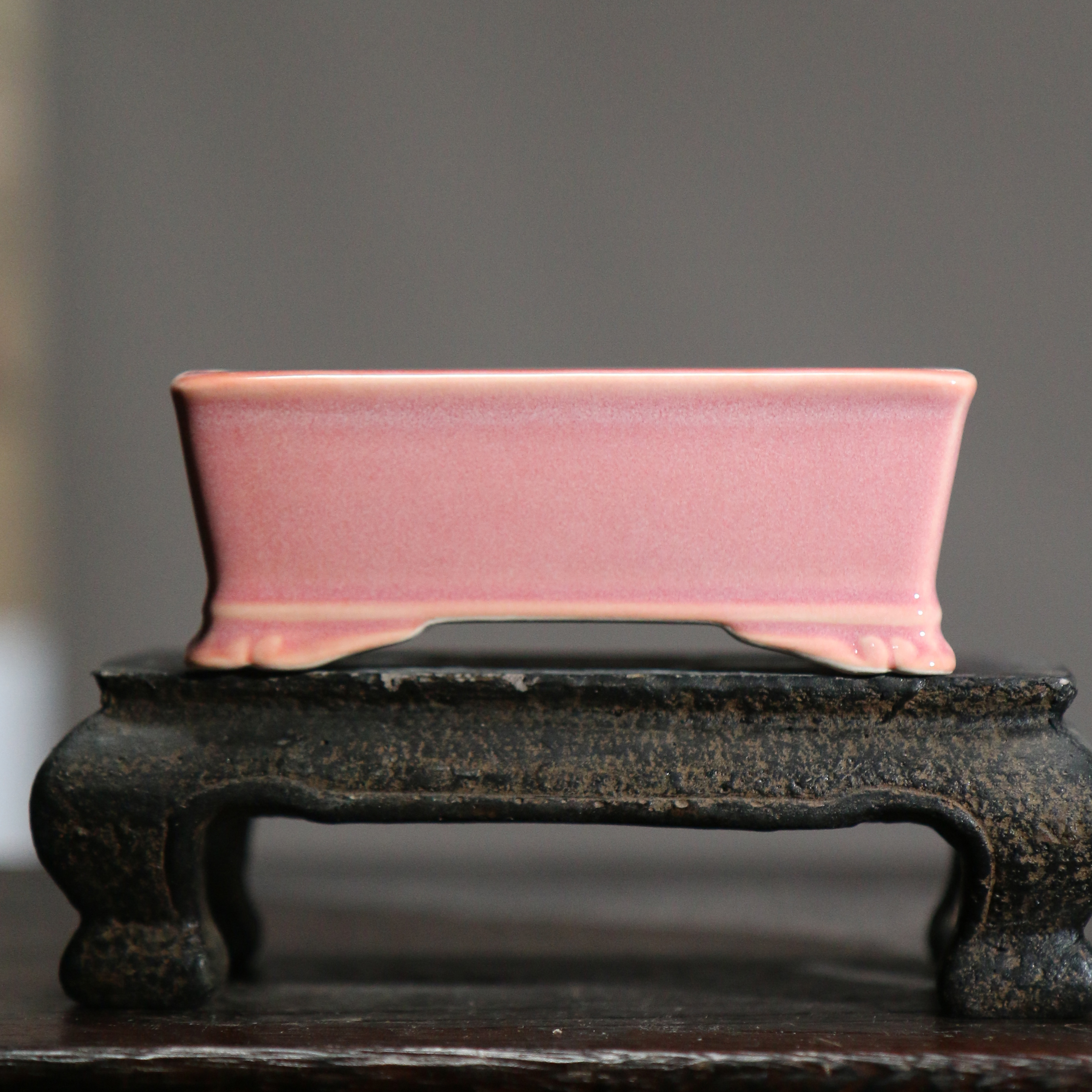 觅陶乡盆景盆菖蒲微型产地直销