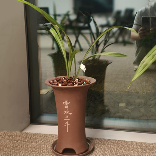 紫砂花盆云水三千甘露别院兰花盆