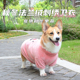 宠物秋冬款 柯基狗狗衣服保暖冬天网红服饰法斗泰迪法兰绒休闲卫衣