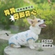 家居服 四脚衣宠物柯基防掉毛透气睡衣防晒四季 狗狗背心夏季 薄款