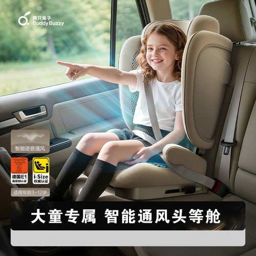 两只兔子探知儿童安全座椅