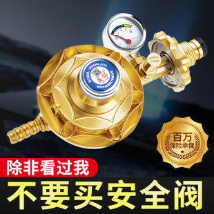 煤气减压阀国标家用液化气煤气灶专用燃气阀煤气罐安全阀自动关闭