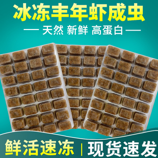冷冻丰年虾成虫饲料渤海冰冻丰年虾卤虫丰年虫冻板观赏鱼鱼食鱼粮